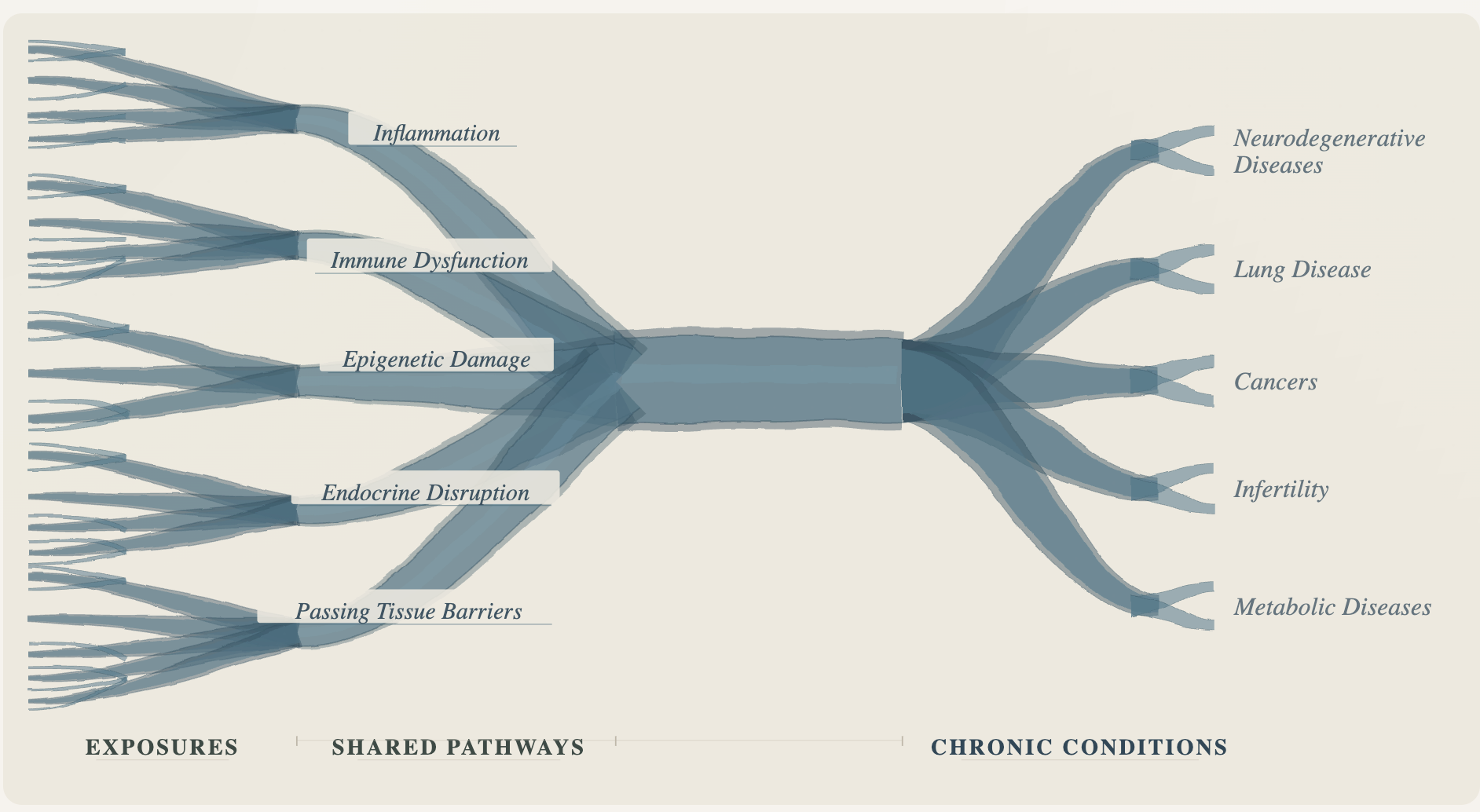 River diagram of pollutant pathways