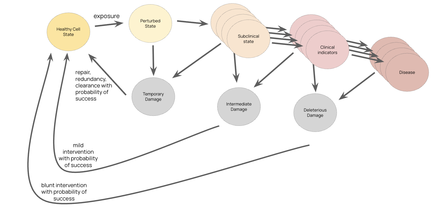 Disease Progression and Intervention Points