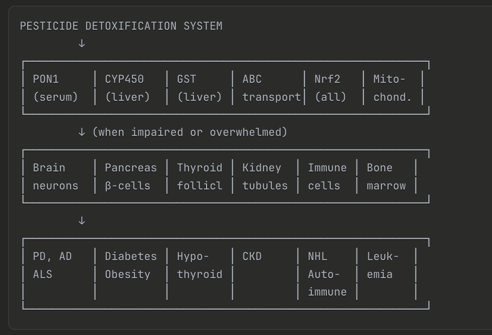 Pesticide Detoxification System
